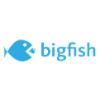 Bigfish.io logo, Bigfish.io contact details