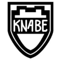 William Knabe Institute logo, William Knabe Institute contact details