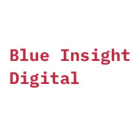 Blue Insight Digital logo, Blue Insight Digital contact details