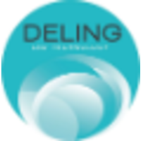 DEL ING - DEL INGENIERIE logo, DEL ING - DEL INGENIERIE contact details