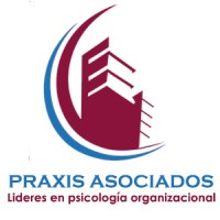 Praxis Asociados Ltda. logo, Praxis Asociados Ltda. contact details