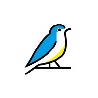 blubird media logo, blubird media contact details