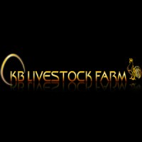 KB Livestock Farm logo, KB Livestock Farm contact details