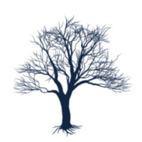 Blue Tree Builders logo, Blue Tree Builders contact details