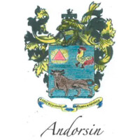 Andorsin Consulting logo, Andorsin Consulting contact details