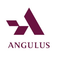 Angulus Group Holdings logo, Angulus Group Holdings contact details