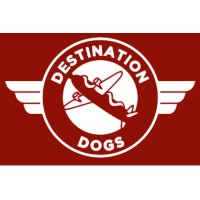 DESTINATION DOGS LLC logo, DESTINATION DOGS LLC contact details