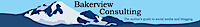 Bakerview Consulting logo, Bakerview Consulting contact details