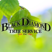 Black Diamond Tree Service, Inc. logo, Black Diamond Tree Service, Inc. contact details