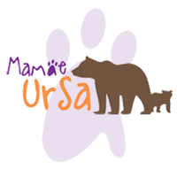 Mamãe Ursa logo, Mamãe Ursa contact details