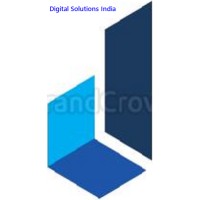 Digital Solutions India logo, Digital Solutions India contact details