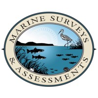 Marine Surveys & Assessments logo, Marine Surveys & Assessments contact details