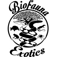 Biofauna Exotics logo, Biofauna Exotics contact details