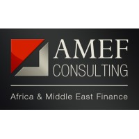 AMEF Consulting logo, AMEF Consulting contact details