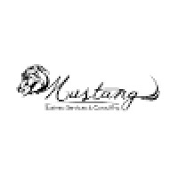 Mustang Business Services & Consulting logo, Mustang Business Services & Consulting contact details