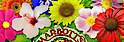 Marbott’s Greenhouse & Nursery logo, Marbott’s Greenhouse & Nursery contact details