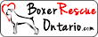 Boxer Rescue Ontario logo, Boxer Rescue Ontario contact details