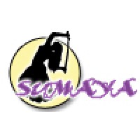 Belly Dancer Sumaya logo, Belly Dancer Sumaya contact details