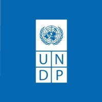 UNDP Brussels logo, UNDP Brussels contact details