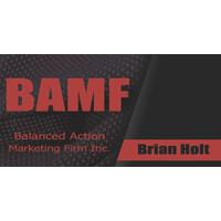 Balanced Action Marketing Firm Inc. logo, Balanced Action Marketing Firm Inc. contact details