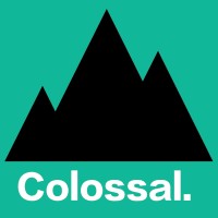 Colossal Digital Marketing logo, Colossal Digital Marketing contact details