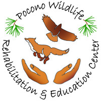 Pocono Wildlife Rehabilitation and Education Center logo, Pocono Wildlife Rehabilitation and Education Center contact details