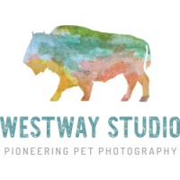 Westway Studio logo, Westway Studio contact details