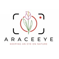 AraceEye logo, AraceEye contact details