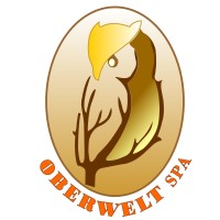 OBERWELT SpA logo, OBERWELT SpA contact details