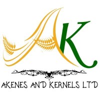 AKENES AND KERNELS LTD logo, AKENES AND KERNELS LTD contact details