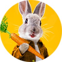 Crypto Carrot logo, Crypto Carrot contact details