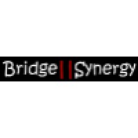 Bridge Synergy logo, Bridge Synergy contact details