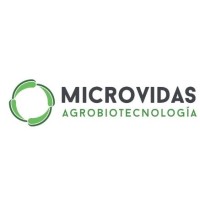 MICROVIDAS SRL logo, MICROVIDAS SRL contact details