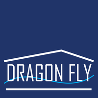 Dragon Fly Company, Limited logo, Dragon Fly Company, Limited contact details