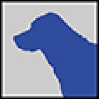 Blue Dog Rentals LLC logo, Blue Dog Rentals LLC contact details