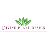 Divine Plant Design logo, Divine Plant Design contact details