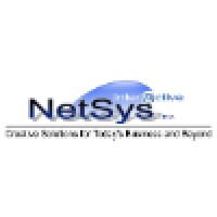 NetSys Interactive Inc. logo, NetSys Interactive Inc. contact details