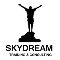 Skydream Consulting logo, Skydream Consulting contact details