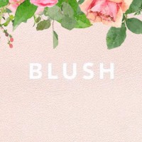 Blush Branding logo, Blush Branding contact details