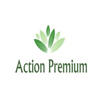 Action Premium Assessoria Contabil logo, Action Premium Assessoria Contabil contact details