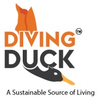 Diving Duck logo, Diving Duck contact details