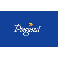 Consorcio Inmobiliario Pingueral logo, Consorcio Inmobiliario Pingueral contact details