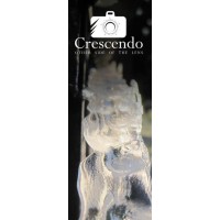 Crescendo Photography logo, Crescendo Photography contact details