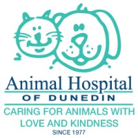 Animal Hospital Of Dunedin logo, Animal Hospital Of Dunedin contact details