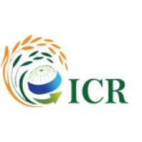 International Rice Trade Centre and Export Terminal logo, International Rice Trade Centre and Export Terminal contact details