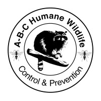 ABC Humane Wildlife Control & Prevention Inc. logo, ABC Humane Wildlife Control & Prevention Inc. contact details