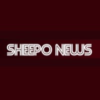 Sheepo News logo, Sheepo News contact details