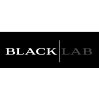 BlackLab Capital logo, BlackLab Capital contact details