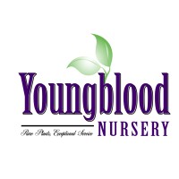 Youngblood Nursery Inc logo, Youngblood Nursery Inc contact details