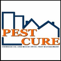 Pest Cure logo, Pest Cure contact details